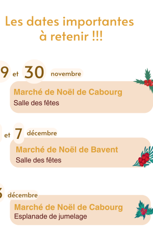 Marchés de noel
